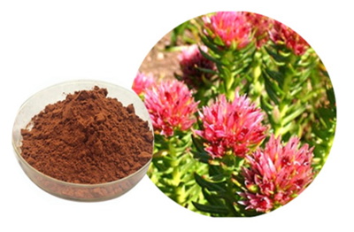 紅景天提取物的應(yīng)用與功效