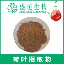 供應(yīng)大量現(xiàn)貨供應(yīng) 荷葉提取物 荷葉堿 各種植物提取物