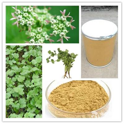 現(xiàn)貨供應香菜提取物_西安_植物提取物-