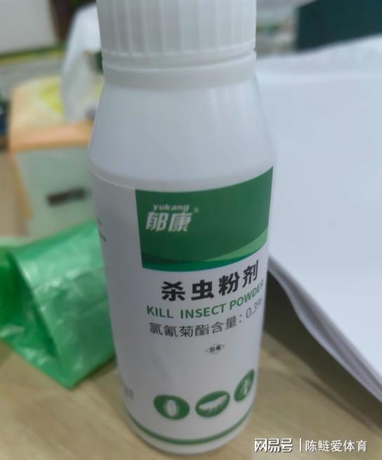 家里有潮蟲怎么辦？植物提取物助你徹底清除