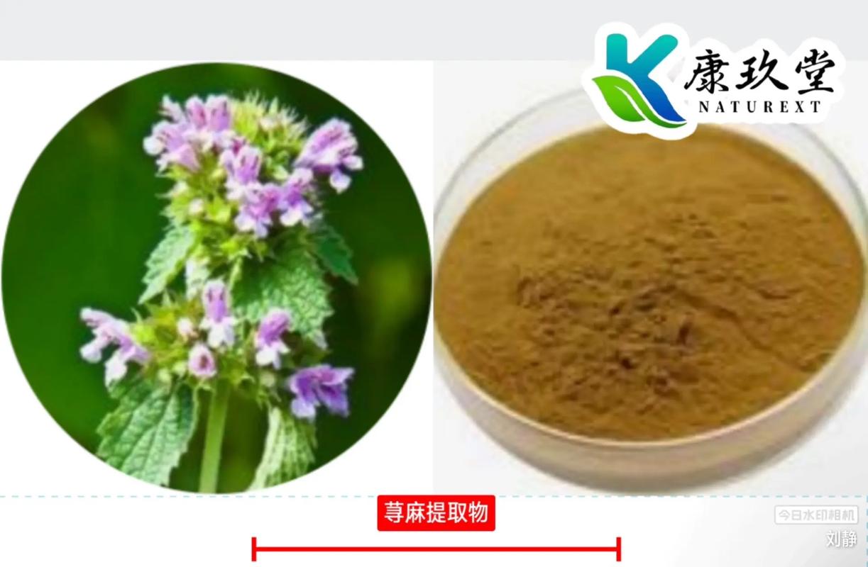 湖南康玖堂生物科技 植物提取物產(chǎn)品分類全解析