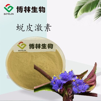 蛻皮激素的天然寶庫 露水草提取物及其應(yīng)用價值